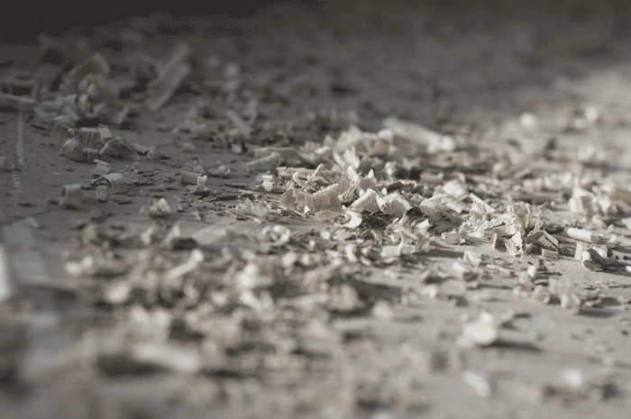 Bildes labai noskaņai!